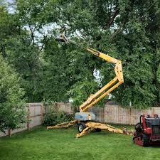 Best Tree Trimming and Pruning  in Laurel, DE
