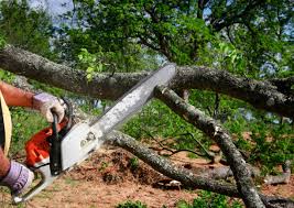 Best Soil Testing and Treatment  in Laurel, DE